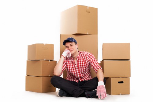 User adjusting browser cookie preferences for Removal Van Ruislip website